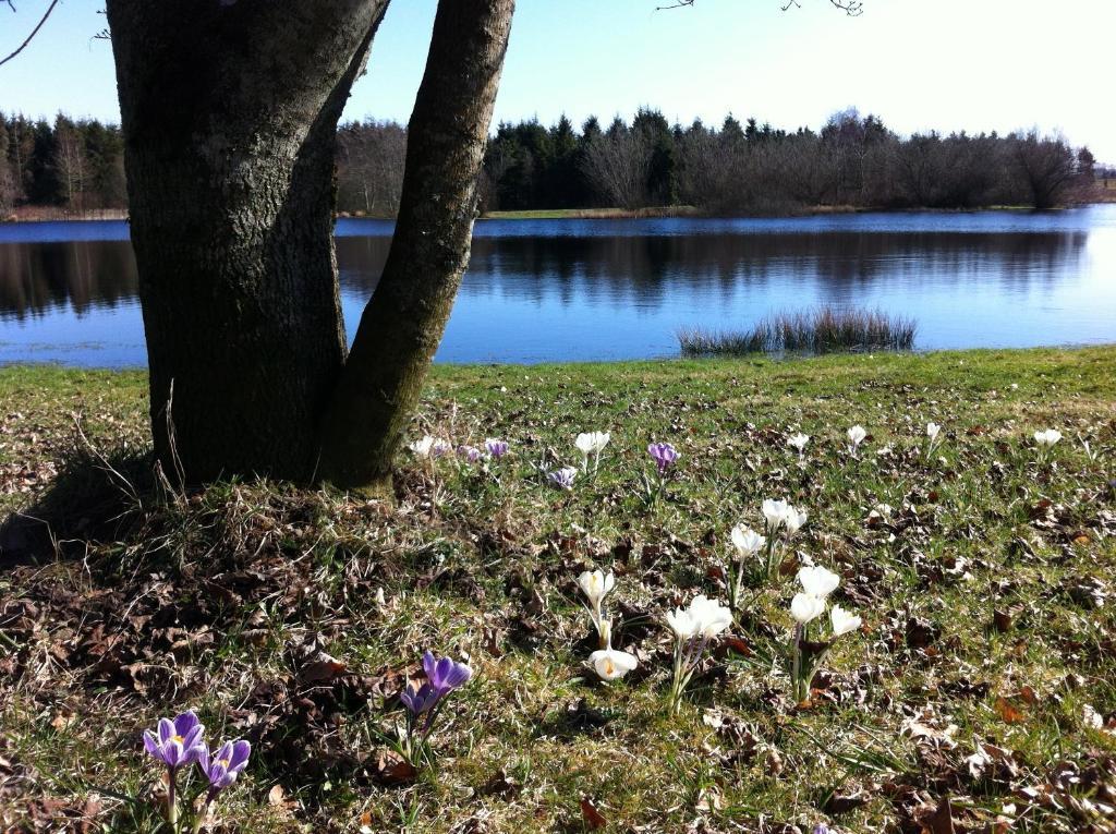 Tollundgaard Golf Park & Appartement